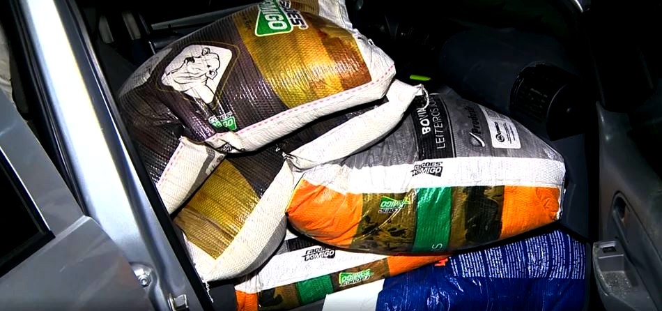 Bandidos são após furtarem sacos de ração de fazenda em Campinas
