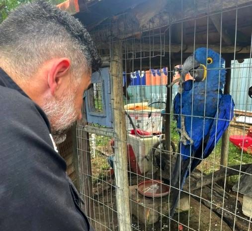 Dono de pesqueiro é detido por maus-tratos contra 80 animais