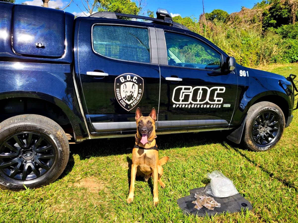 Grupamento de Operações com Cães apreende drogas durante treinamento
