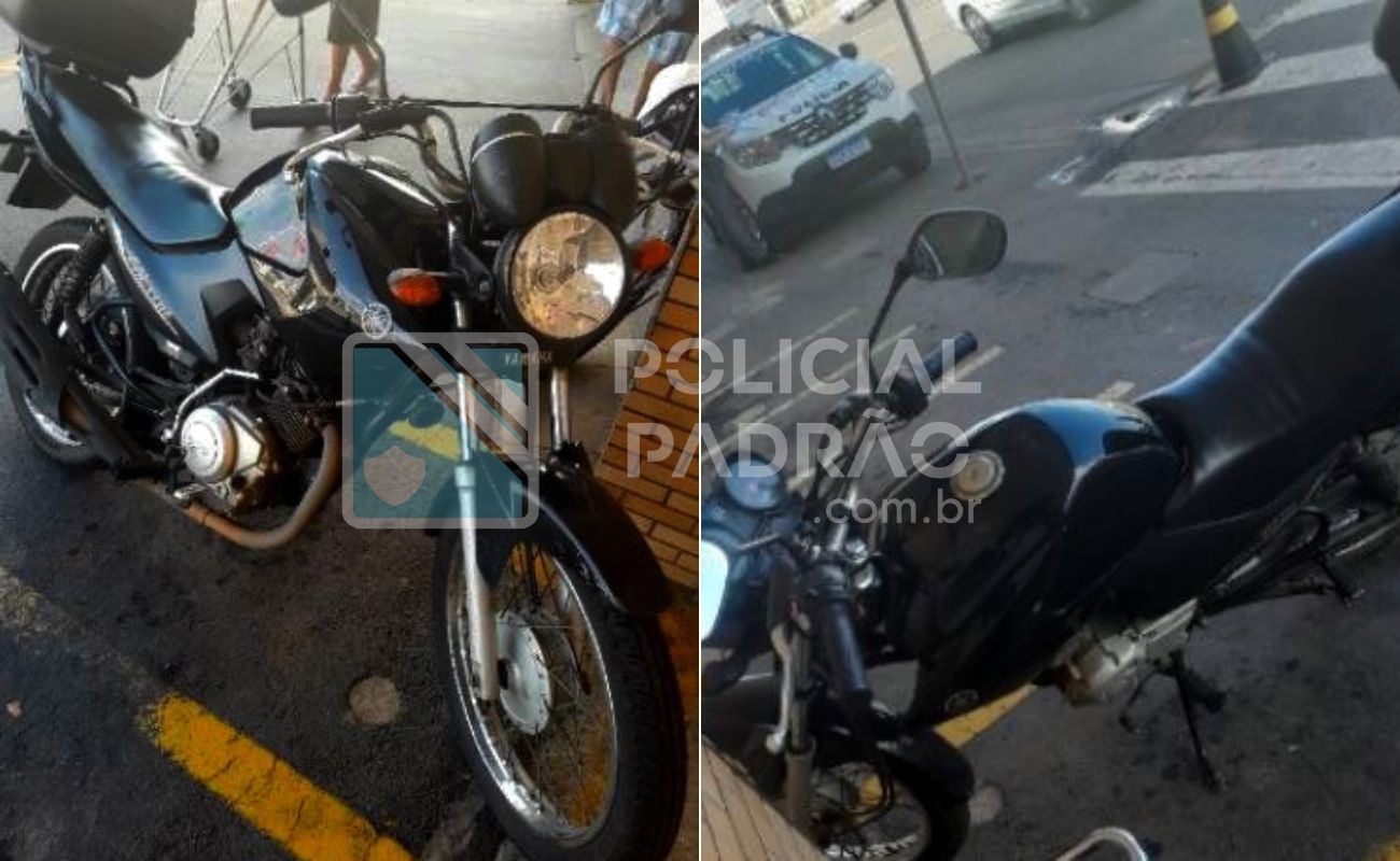 Motociclista fica ferido após atropelar gato em Paulínia