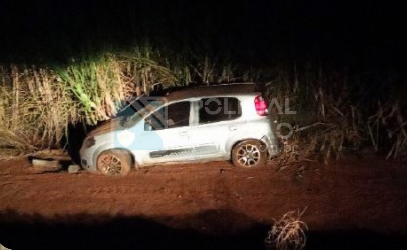 Motorista perde o controle em rodovia e cai em ribanceira