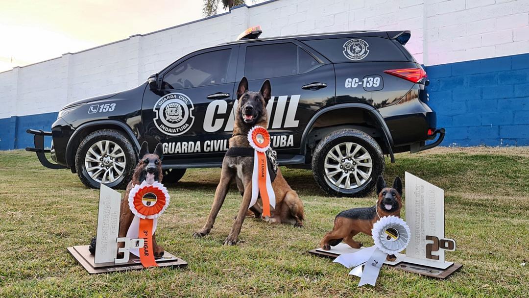 Canil da GCM de Indaiatuba conquista pódio em campeonato de cães