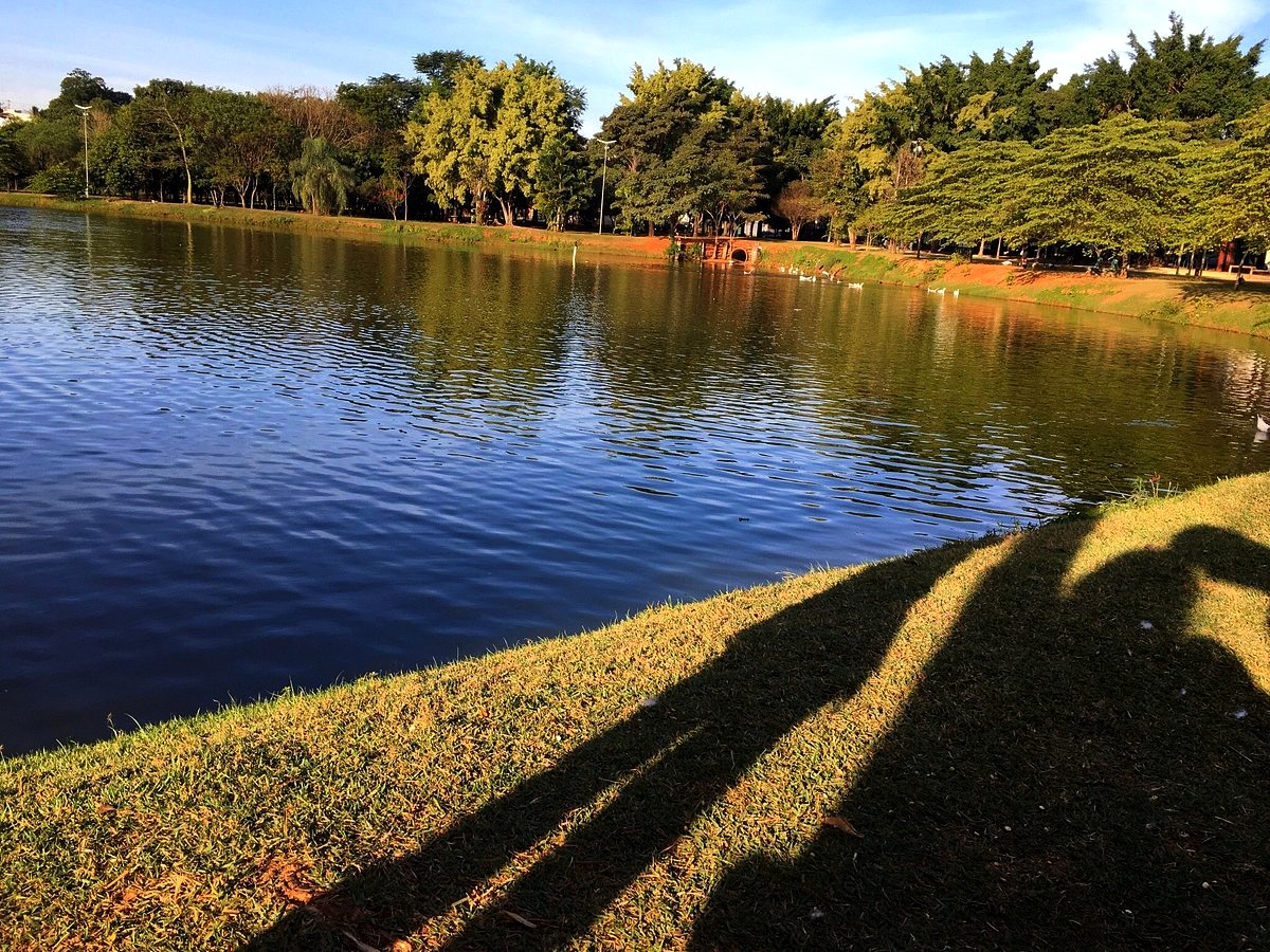 Corpo em decomposição é encontrado na lagoa do Parque dos Ipês