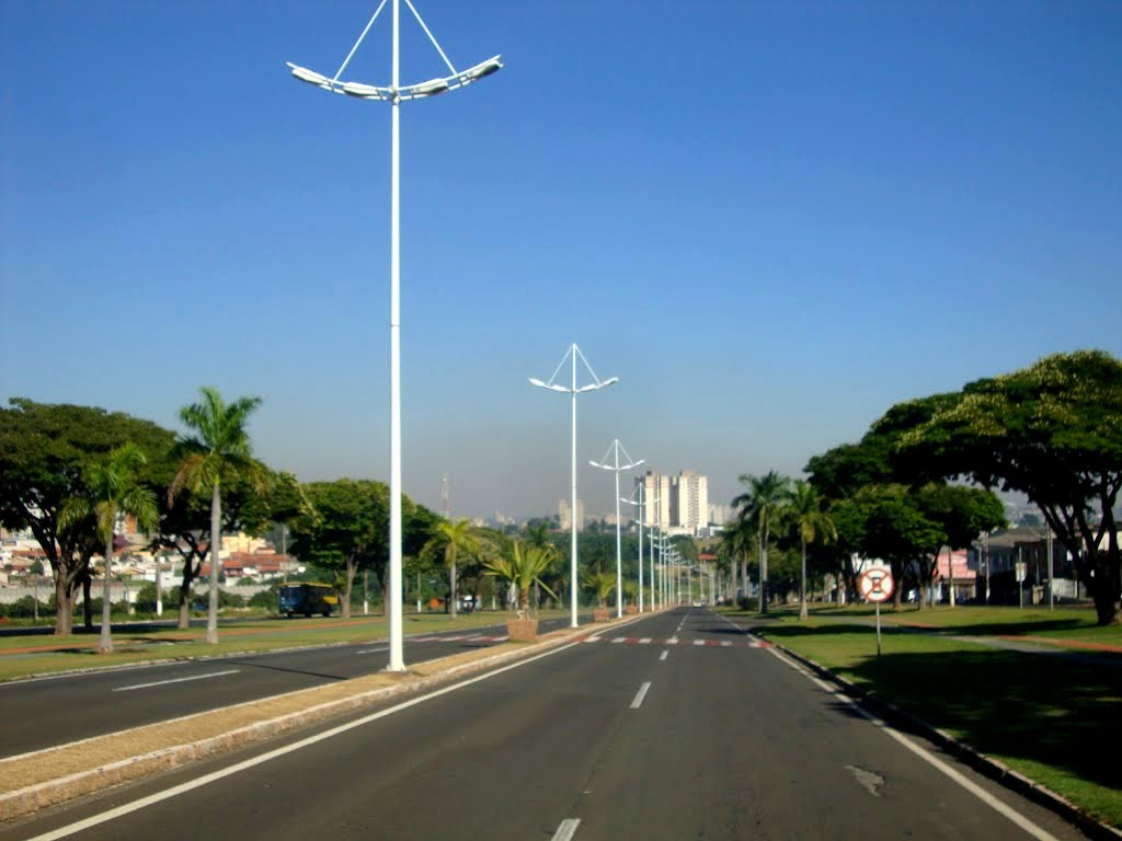 Motorista bate em poste em avenida de Americana