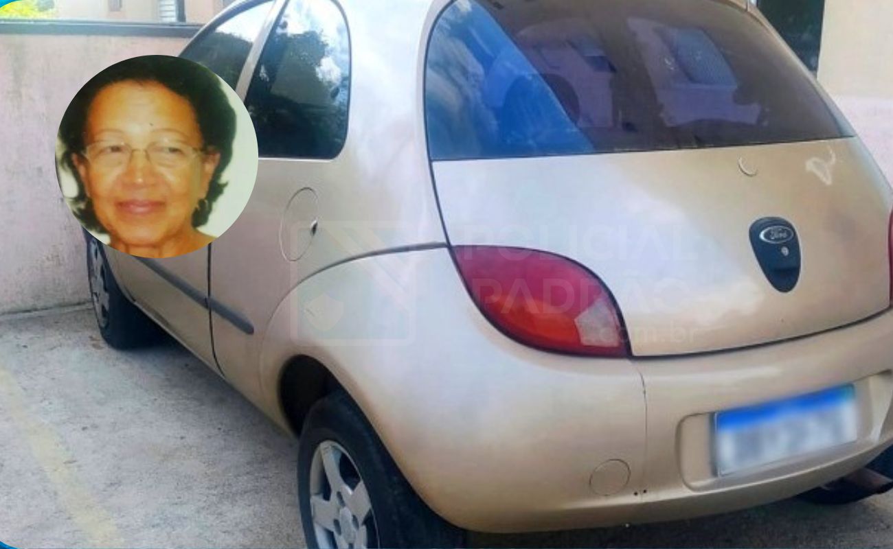 Muralha digital de Valinhos identifica veículo que atropelou idosa e motorista é detido 1
