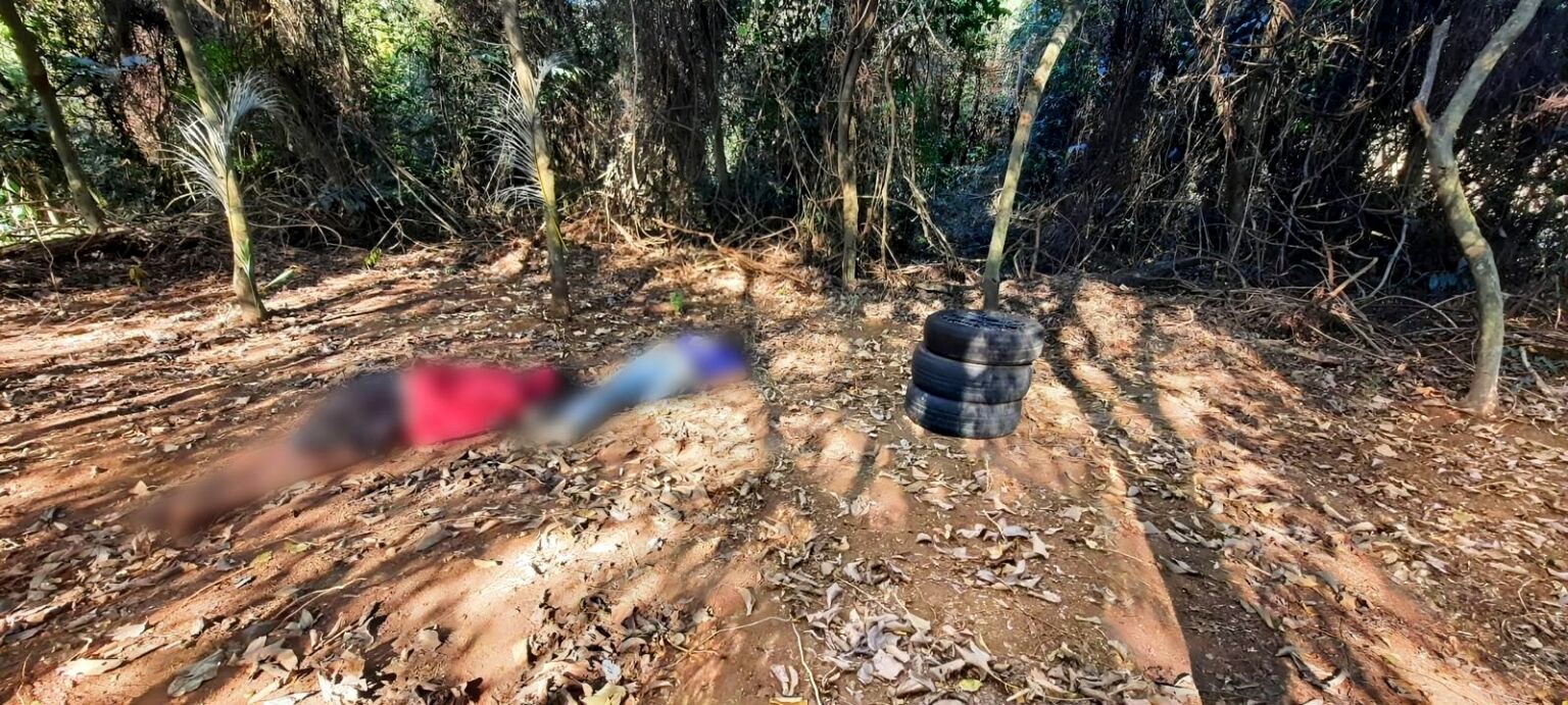 Dois corpos são localizados em canavial de Cosmópolis