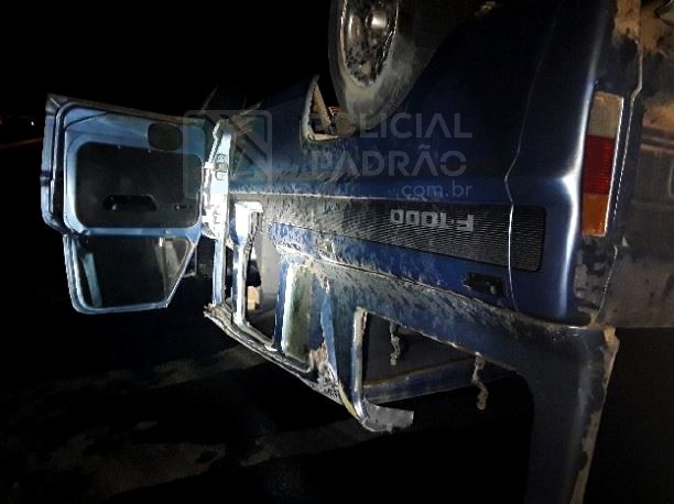 Motorista capota caminhonete após atropelar capivara na SP-304