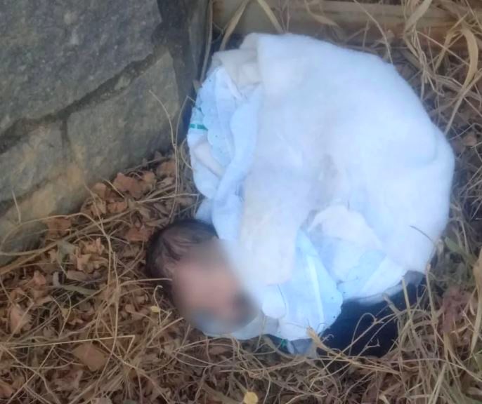 Recém-nascido é abandonado em estrada rural de Pedreira