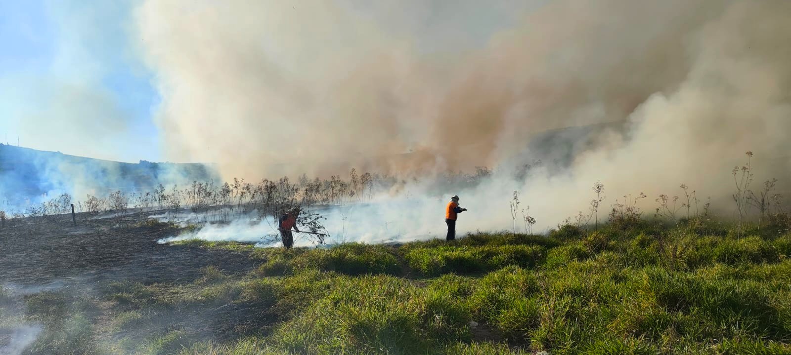 Incêndio atinge cerca de 27 hectares de área verde em Limeira