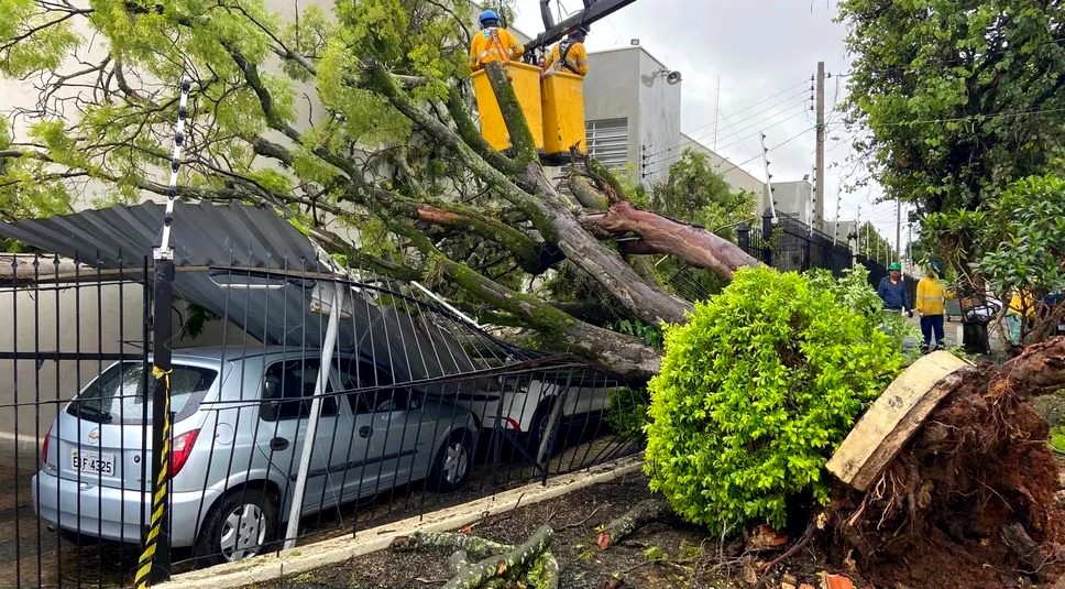 Chuva de 47,3 mm e ventos de mais de 100km atingem Campinas na madrugada 2