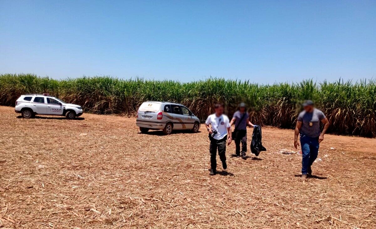 Polícia encontra cabeça e mãos em canavial de Cosmópolis