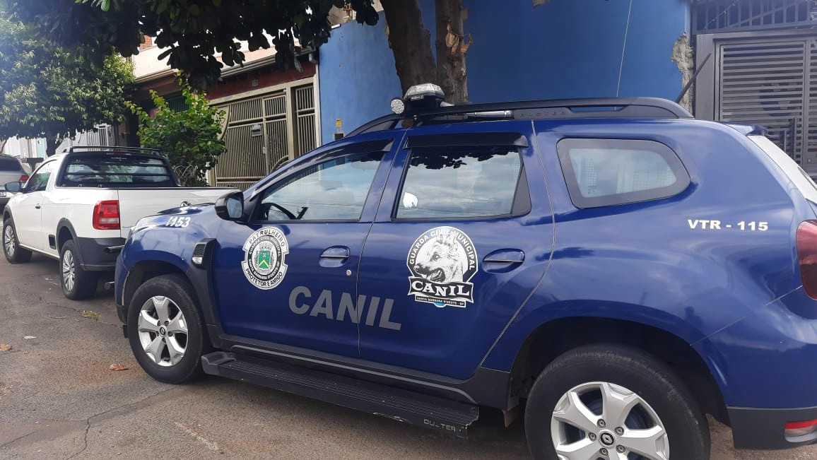 Canil da GCM localiza veículo furtado no Planalto do Sol