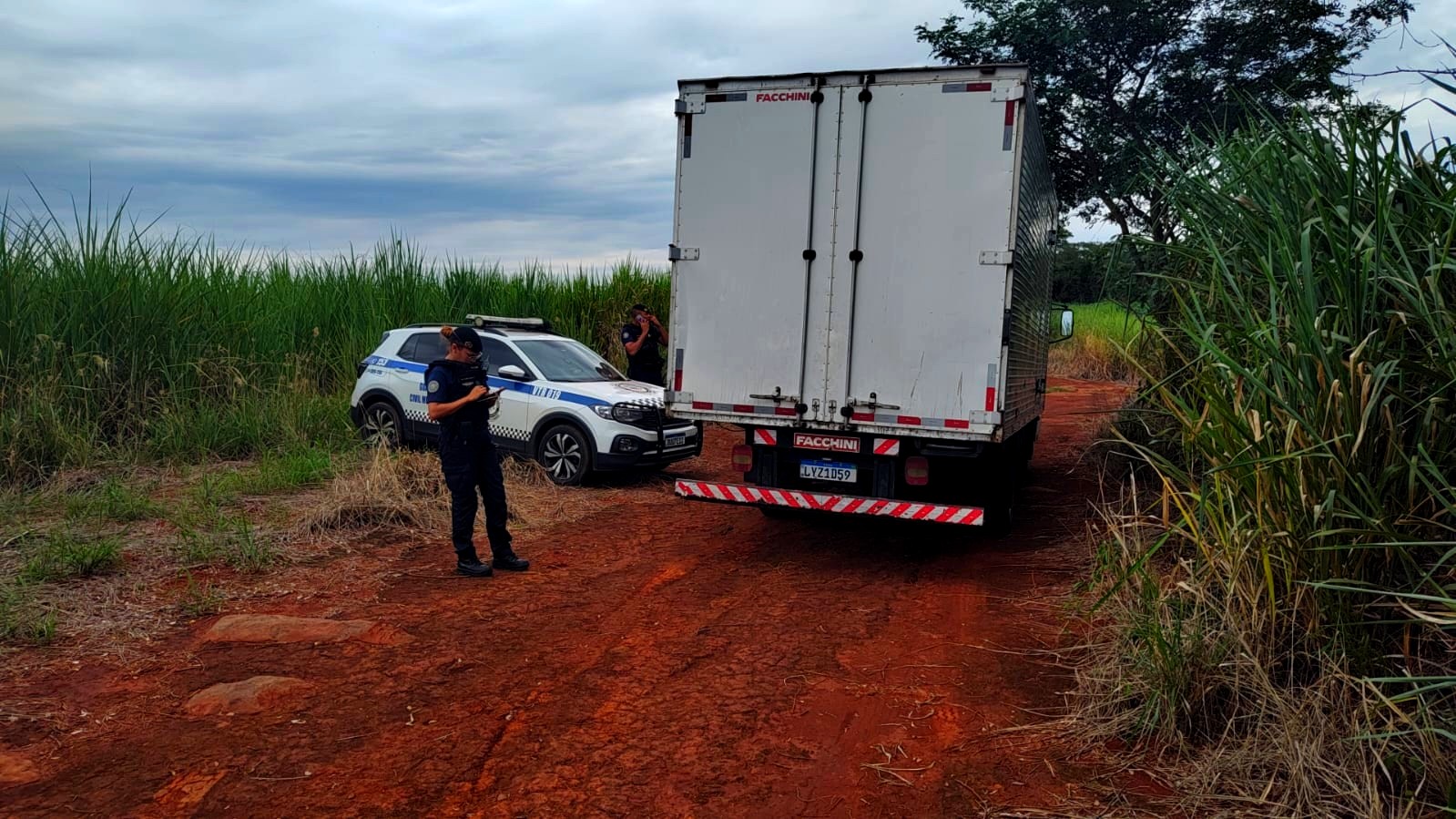 Caminhão roubado é localizado em canavial de Santo Antônio de Posse