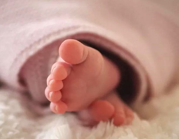 Após ser deixada sozinha pelos pais, bebê de 5 meses é atacada por cão e morre