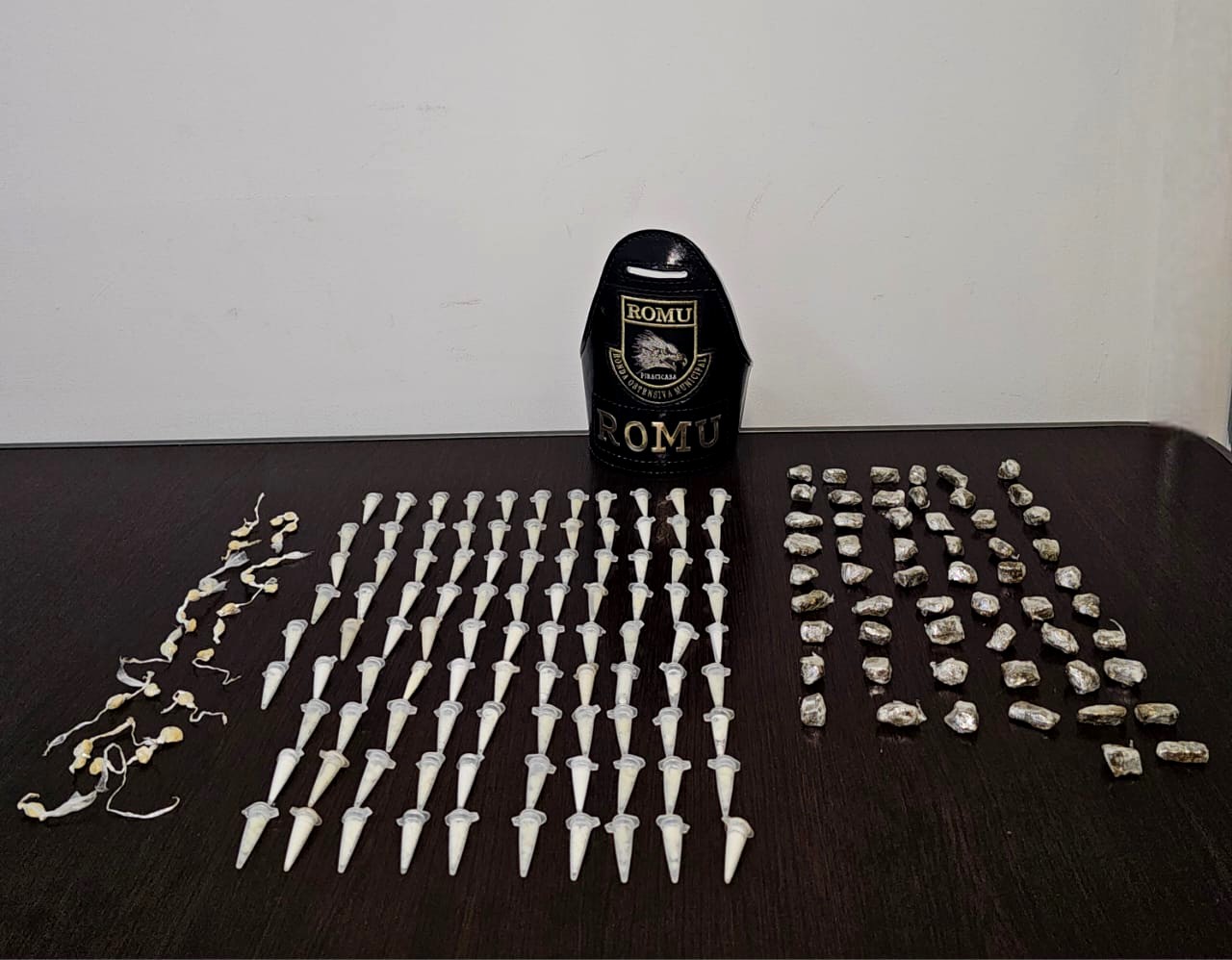 Drogas somaram 179 unidades (Foto: Guarda Civil)