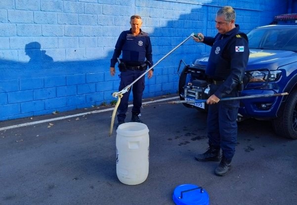 Equipe do GAPA captura jararaca em empresa no bairro da Capela