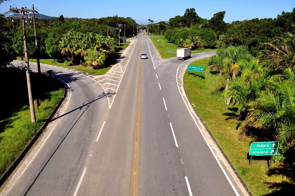 Rodovias estaduais de SP terão normas para reduzir atropelamentos de animais