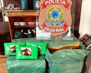 Artur Nogueira é alvo de operação da PF contra tráfico interestadual de drogas e armas