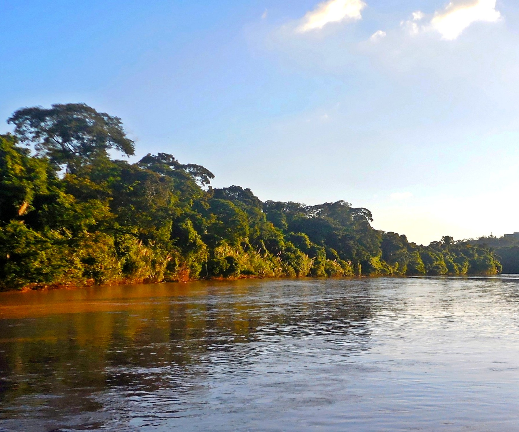 Defesa Civil inicia operação com PM Ambiental para retirada de peixes no Rio Piracicaba