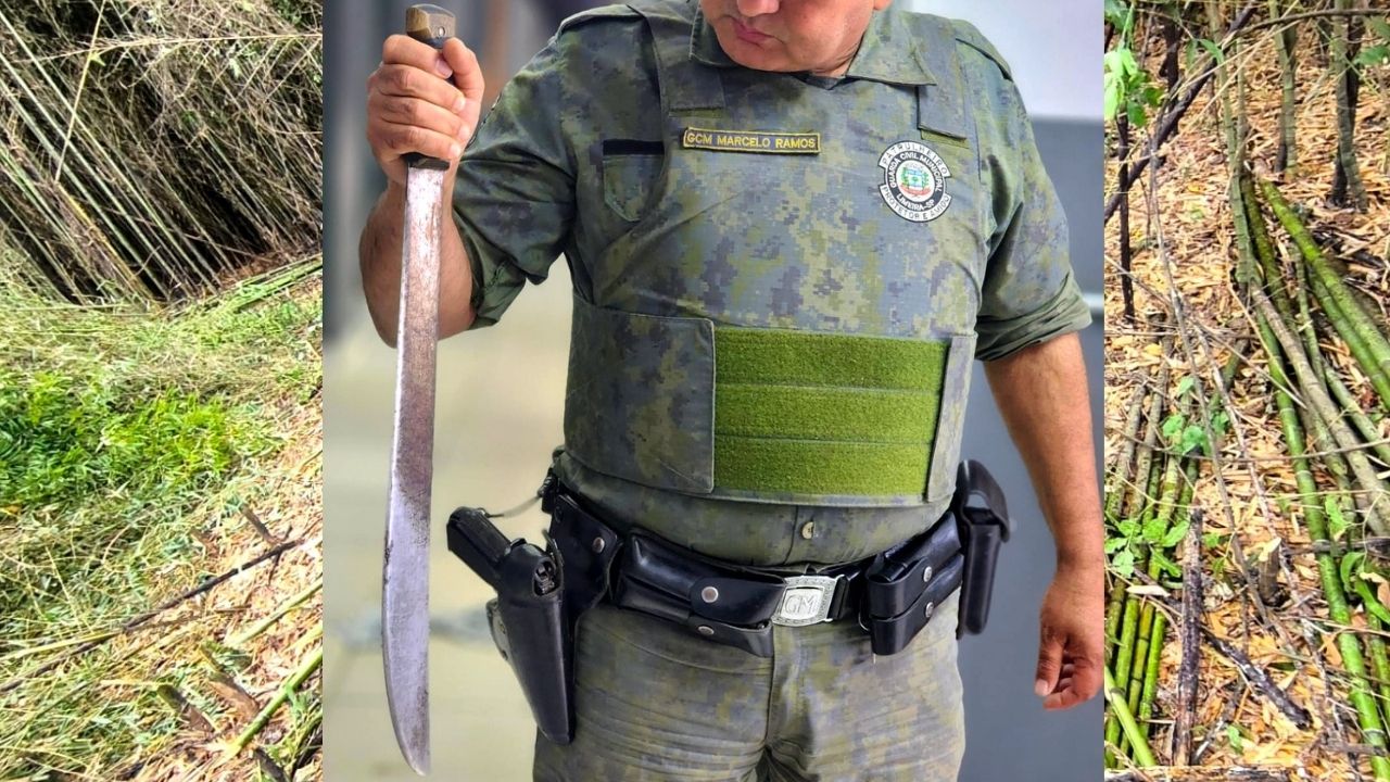 Homem é preso por furto de bambu em área de preservação ambiental em Limeira
