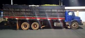 PM de Leme recupera caminhão roubado com carga de laranjas 2