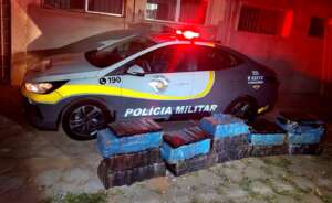 Polícia Rodoviária apreende 304 quilos de maconha em Pirapozinho