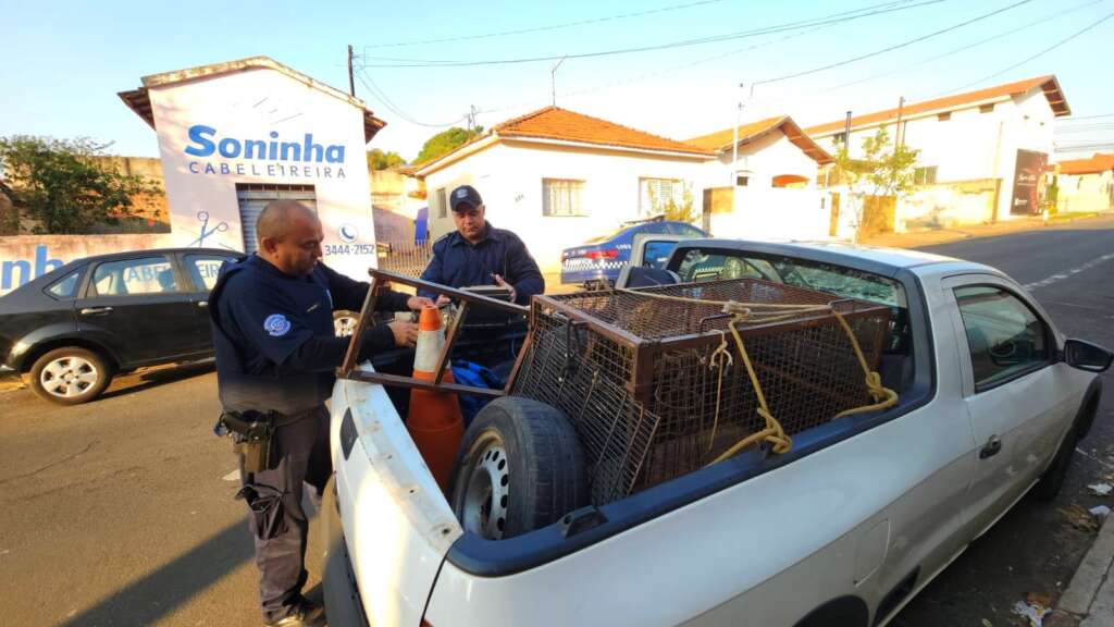 Homem é preso em flagrante furtando objetos no Centro de Zoonoses do bairro Egisto Ragazzo