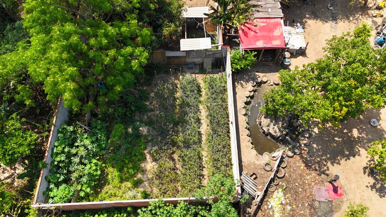 Drone sobrevoou endereços alvos da operação (Foto: Polícia Civil)