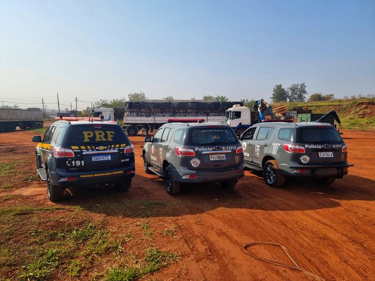 PRF intercepta mais de 2 toneladas de maconha que seriam entregues em Nova Odessa
