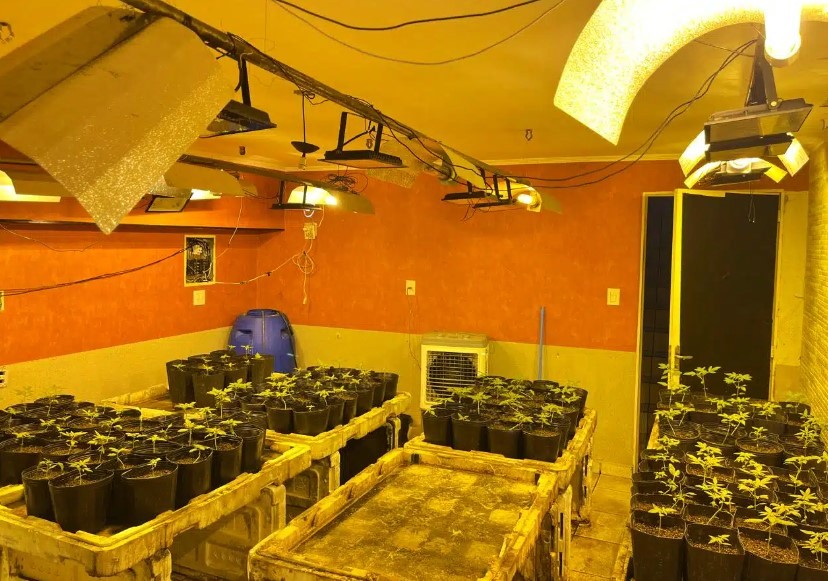 Dise descobre dois laboratórios de drogas em Rio Claro