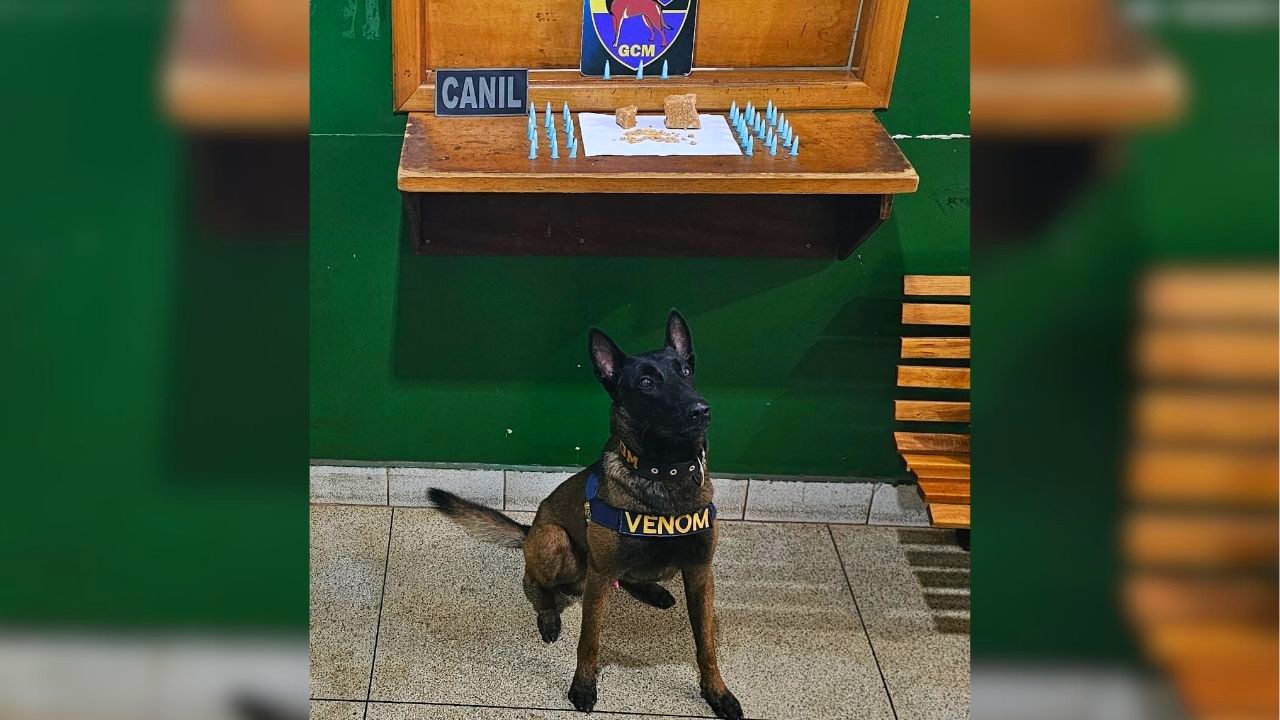 Guarda Civil encontra caixa com drogas em praça de Ribeirão Preto