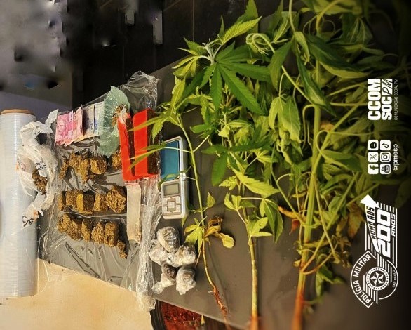 PM prende idoso com meio quilo de maconha em Itapetininga