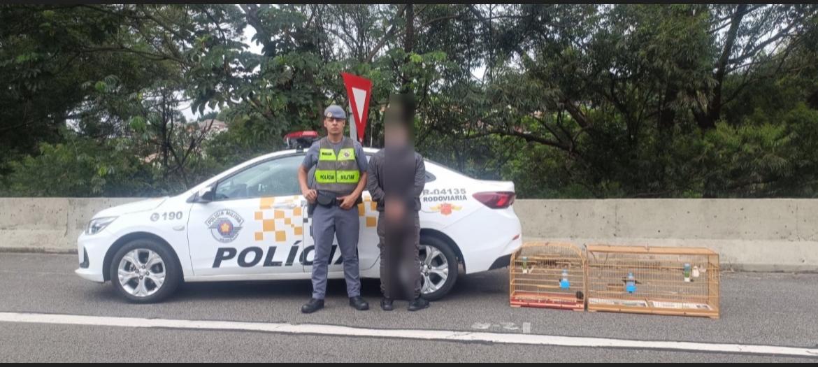 Homem é preso com aves silvestres em abordagem na Rodovia dos Bandeirantes (Foto: Polícia Rodoviária)