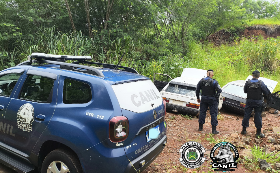 Veículos furtados são localizados após fuga em Santa Bárbara d’Oeste (Foto: GCM/SBO)