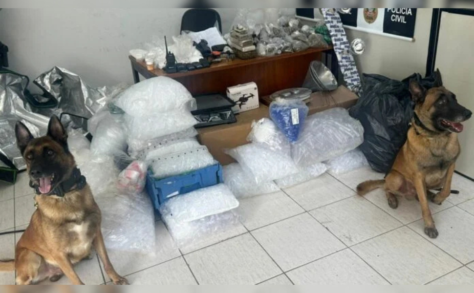 1° BAEP descobre laboratório de drogas e apreende arma em Várzea Paulista (Foto: 1º BAEP)