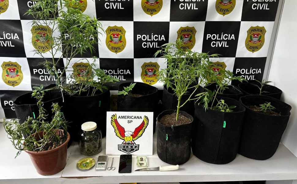 DISE desmantela cultivo de maconha em residência de Monte Mor (Foto: Polícia Civil)