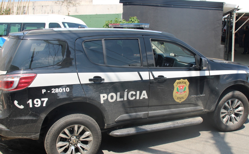 Polícia Civil prende mulher líder de organização criminosa em São Paulo (Foto: Polícia Civil)