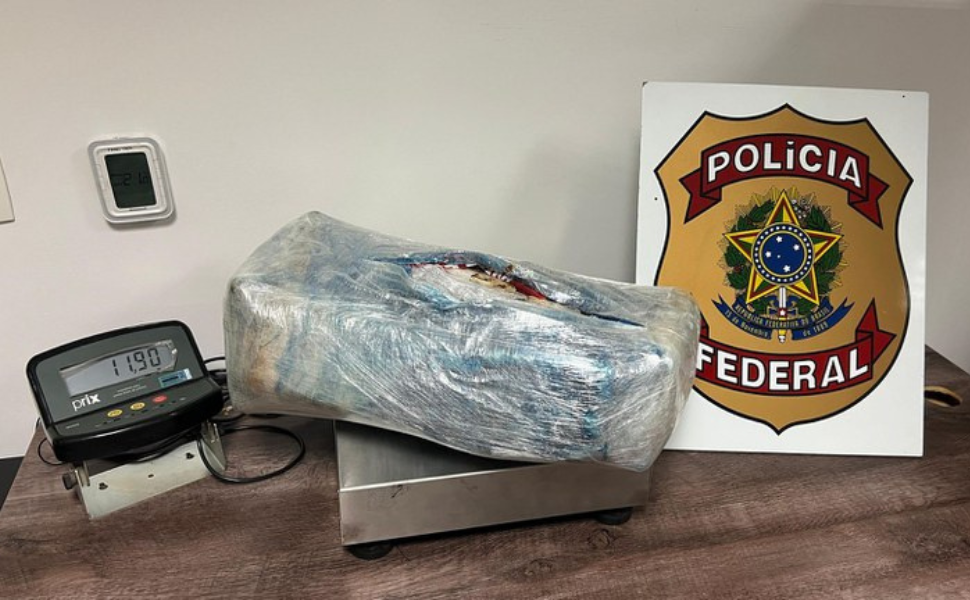 Mulher é presa com 12 kg de skunk na bagagem em Viracopos (Foto: Polícia Federal)