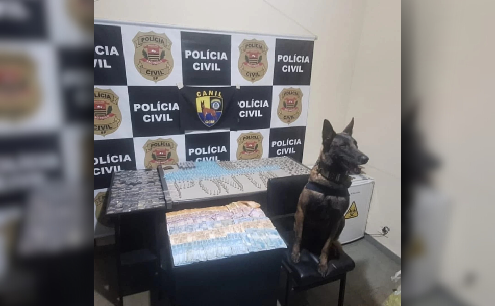 Polícia Civil prende traficantes em Pontal (Foto: Polícia Civil)