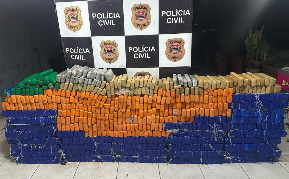 Polícia Civil intercepta caminhão com quase 500 kg de maconha em Taciba (Foto: Polícia Civil)