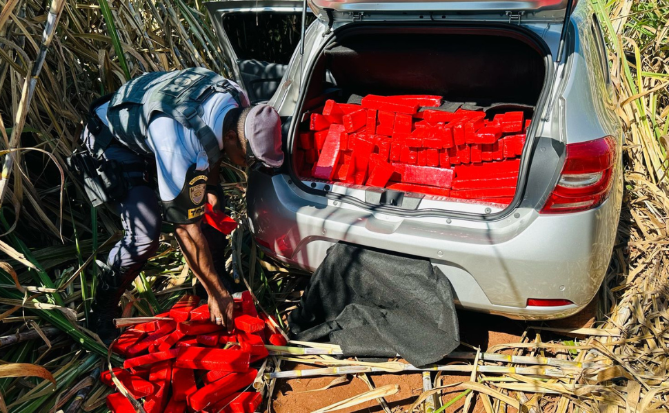 TOR apreende 304 kg de maconha em Quatá (Foto: 2º BPRv)
