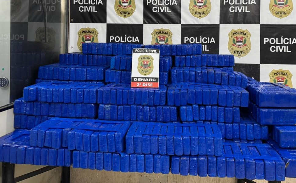 DISE intercepta caminhão com mais de 800 quilos de maconha na zona norte de SP (Foto: Polícia Civil)