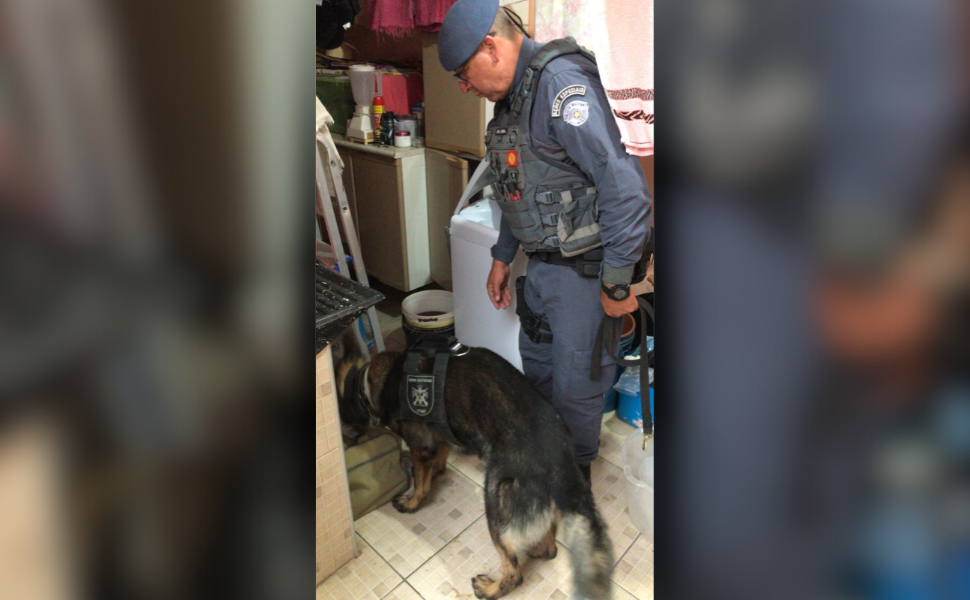 BAEP desmantela ponto de armazenamento de drogas e prende quatro em Sorocaba (14º BAEP)