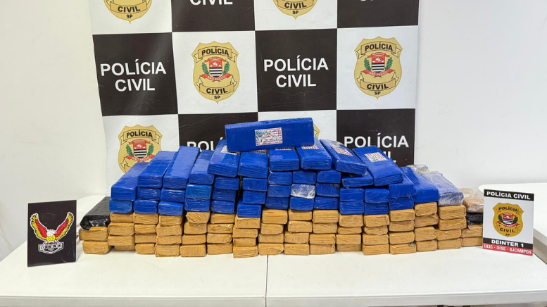 DISE apreende quase 100 kg de maconha em residência de São José dos Campos (Foto: Polícia Civil)