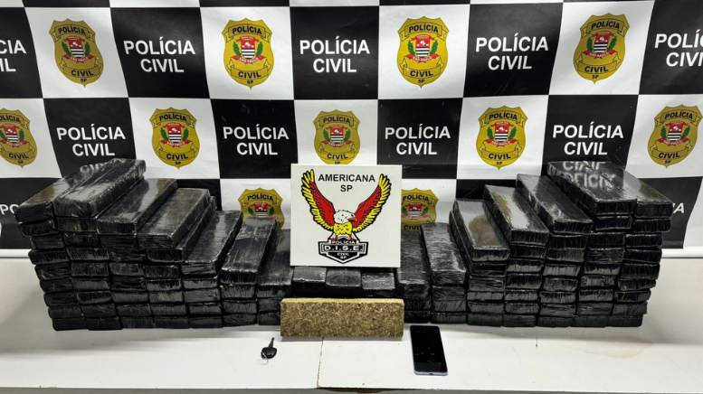 DISE de Americana apreende 85 kg de maconha em hotel de São Pedro (Foto: Polícia Civil)