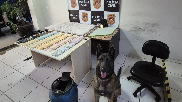 Polícia Civil e GCM de Paulínia apreendem drogas escondidas em botijão de gás (Foto: GCM/Paulínia)