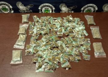 GCM apreende 133 porções de maconha em área verde no Bosque das Árvores em Santa Bárbara d’Oeste (SP)