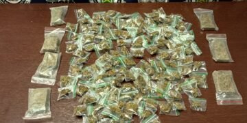 GCM apreende 133 porções de maconha em área verde no Bosque das Árvores em Santa Bárbara d’Oeste (SP)