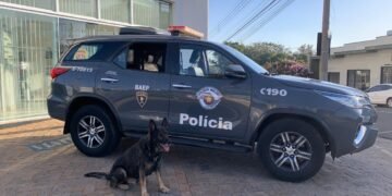 Polícia Militar do BAEP realiza capturas de procurados por homicídio qualificado em Arthur Nogueira e Piracicaba