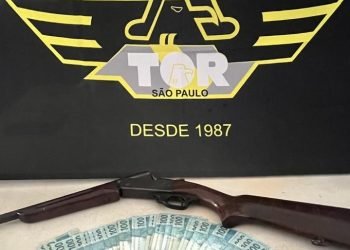 criminoso armado em carro com placa adulterada